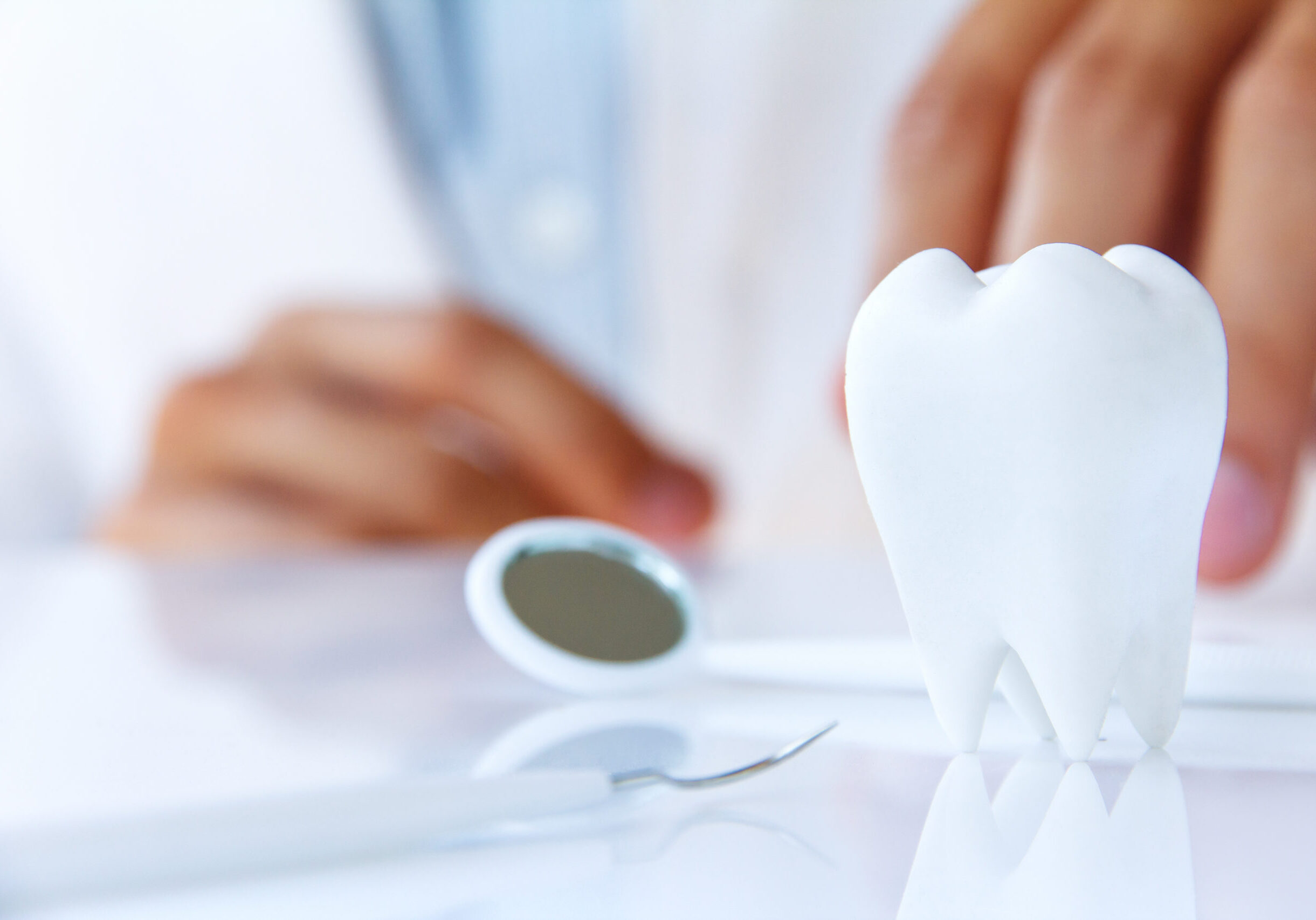 dentist holding molar,dental concept