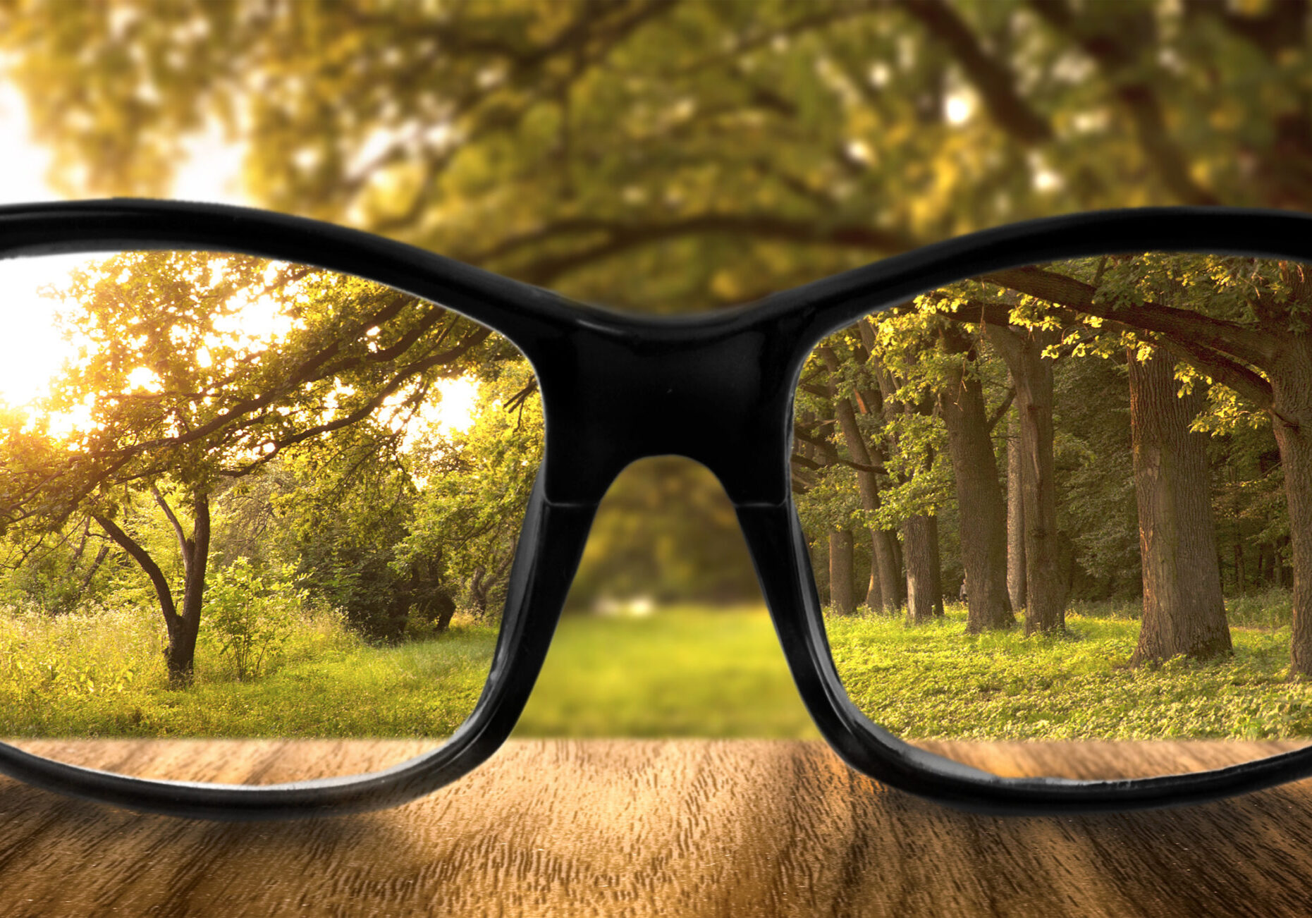 Clear forest in glasses on the background of blurred forest